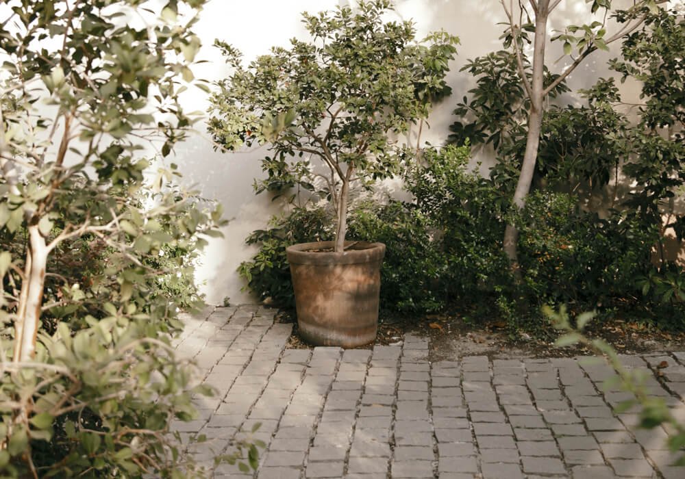 gallery_lomas_8 (1)